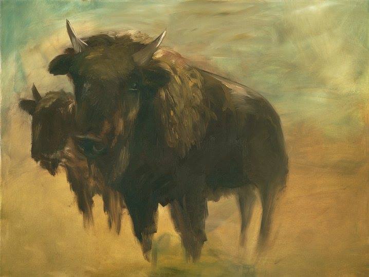 bison1